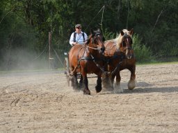 DSC_9181_web